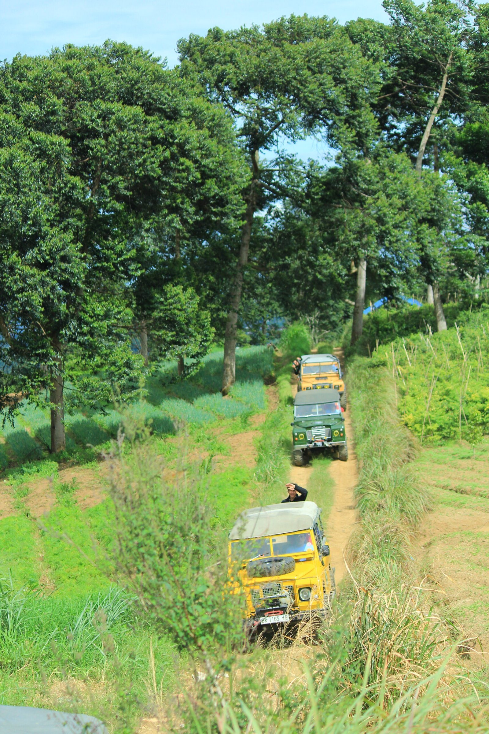Jalur alam Rancabali